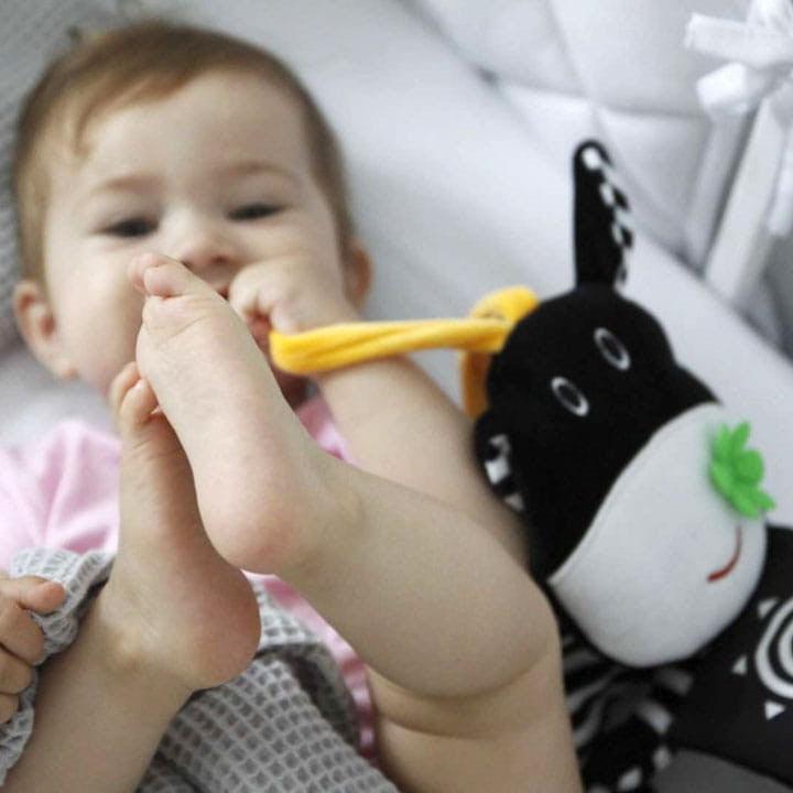 Mom's Care: książeczka do łóżeczka Krówka - Noski Noski