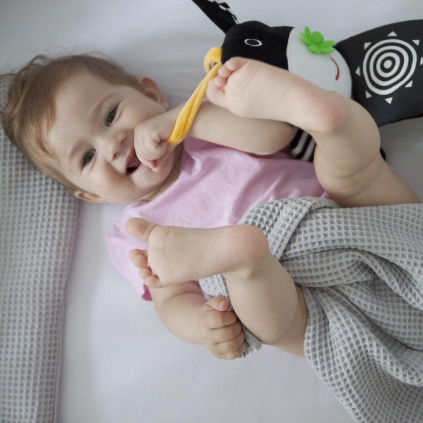 Mom's Care: książeczka do łóżeczka Krówka - Noski Noski