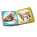 Melissa and Doug: książeczka z przyciskami Poke-a-Dot Pet Families - Noski Noski