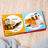 Melissa and Doug: książeczka z przyciskami Poke-a-Dot Pet Families - Noski Noski