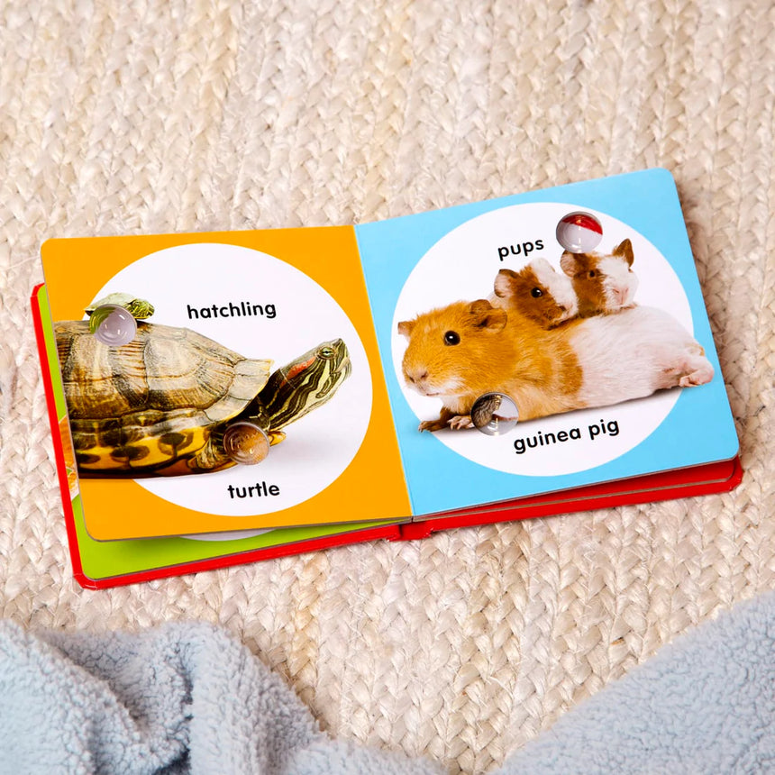 Melissa and Doug: książeczka z przyciskami Poke-a-Dot Pet Families - Noski Noski